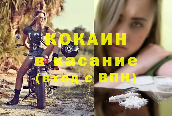 PSILOCYBIN Ельня