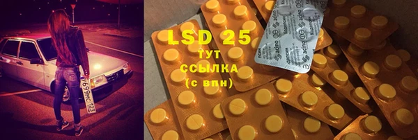 PSILOCYBIN Ельня