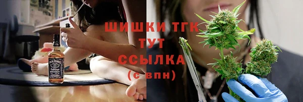 PSILOCYBIN Ельня