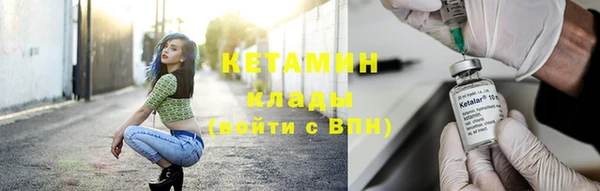 PSILOCYBIN Ельня