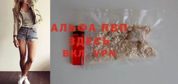 PSILOCYBIN Ельня