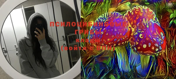 PSILOCYBIN Ельня