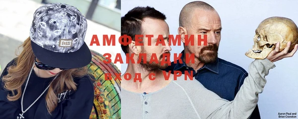 PSILOCYBIN Ельня