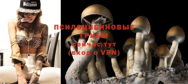PSILOCYBIN Ельня