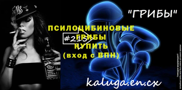 PSILOCYBIN Ельня