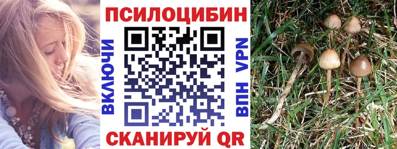 Псилоцибиновые грибы Psilocybe  Карабаново 